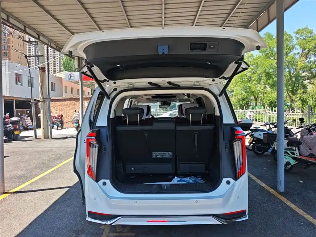 GAC Trumpchi Trumpchi E9 2023 E9 MAX фото 19