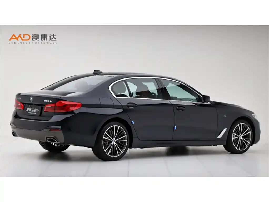 BMW 5 Series 2020 530Li Exclusive M Sport Package фото 3