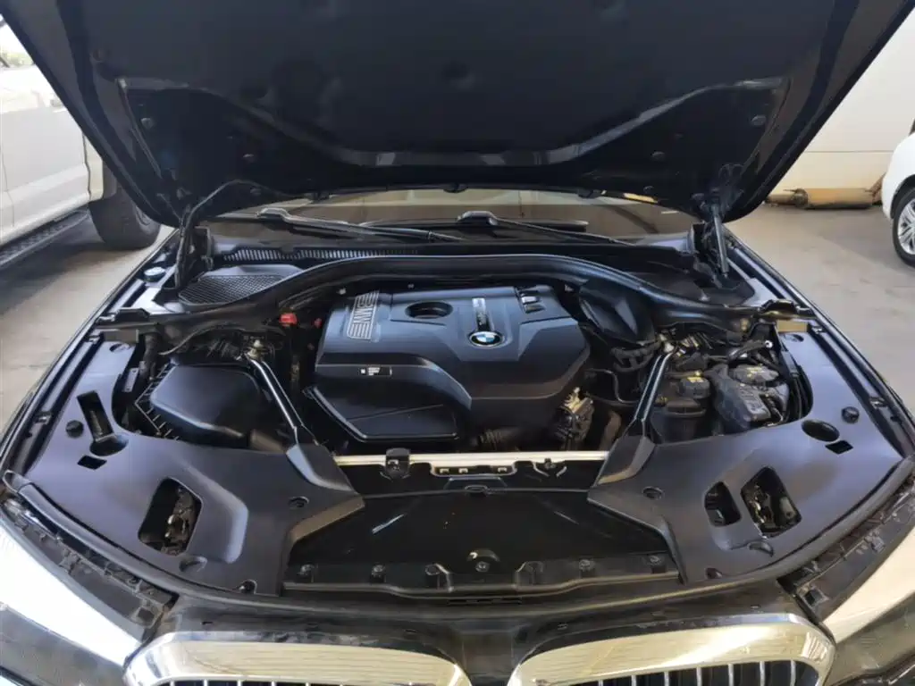 BMW 5 Series 2018 528Li Launch Special Edition фото 20