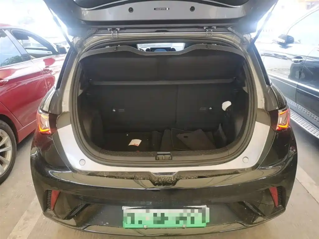 BYD Dolphin 2023 420km Fashion Edition фото 19