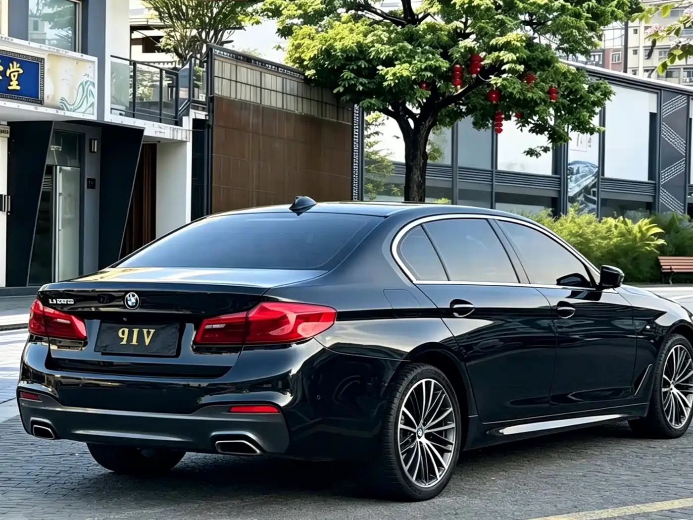 BMW 5 Series 2019 530Li Leading M Sport Package фото 7