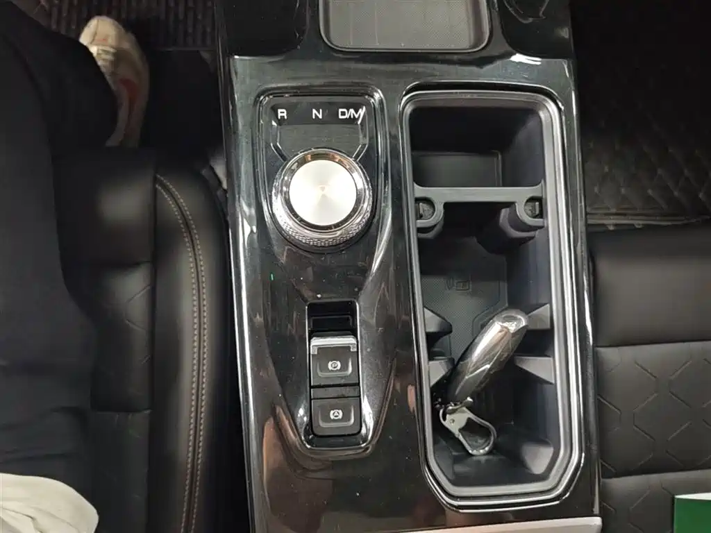 Haval Big Dog 2022 1.5T DCT FWD Border Collie Edition фото 14