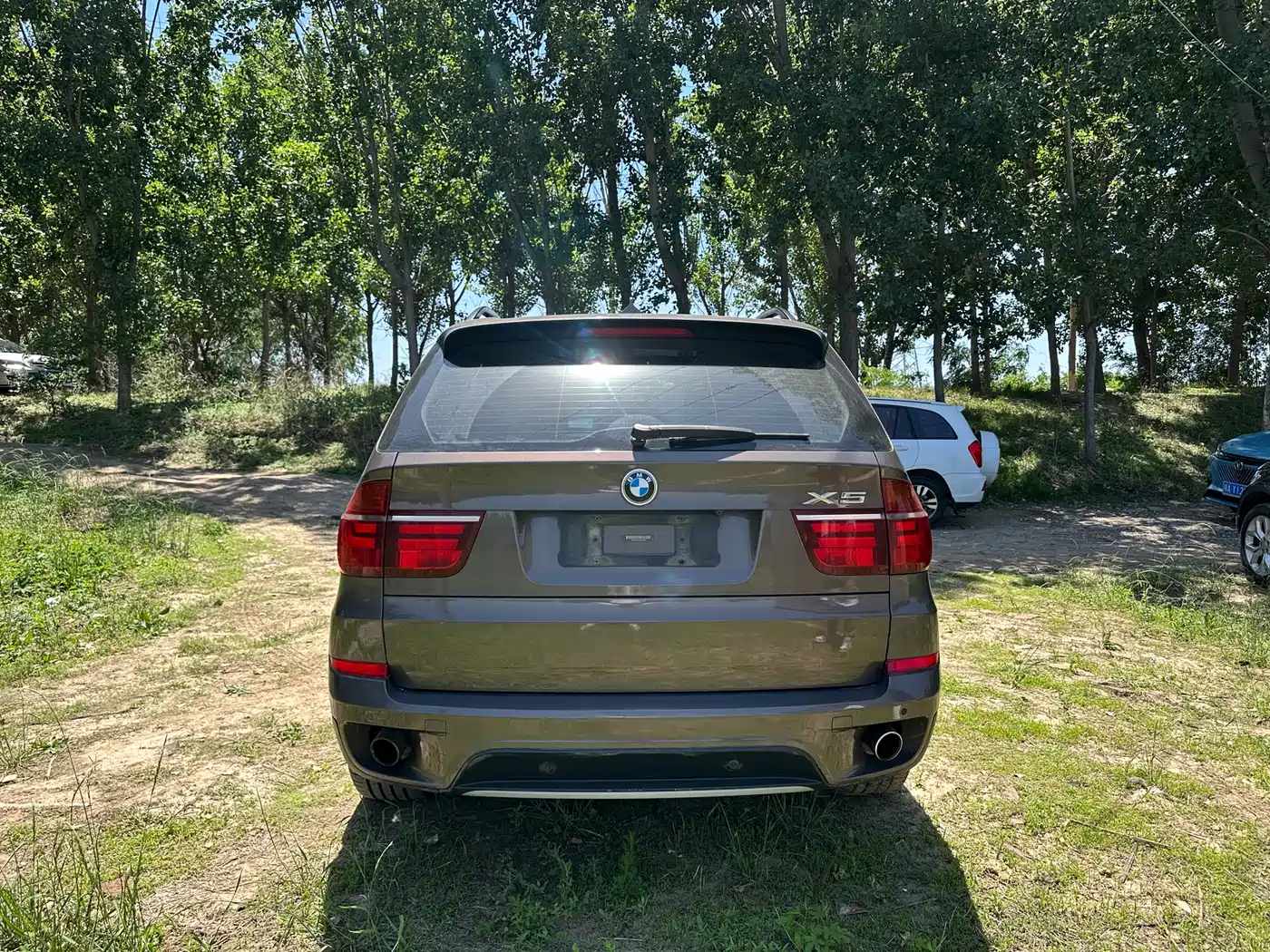 BMW X5 (Import) 2013 xDrive35i Luxury фото 8