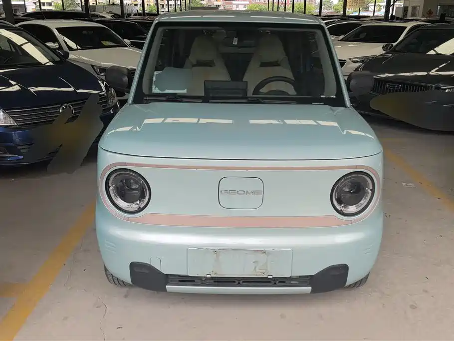 Geely Galaxy Panda 2023 Panda Mini 200km Endurance Bear фото 2