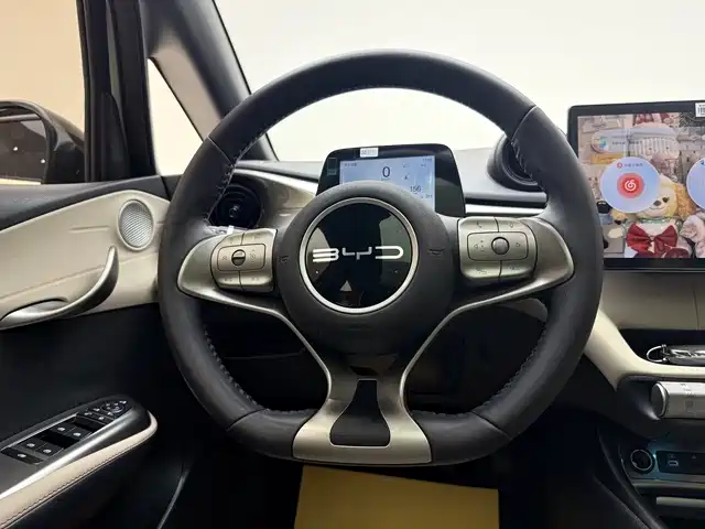 BYD Dolphin 2024 Glory Edition 420km Fashion Edition фото 11