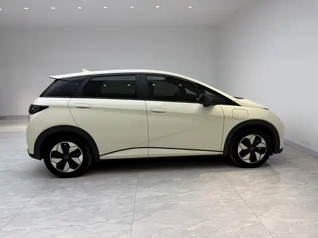 BYD Dolphin 2024 Glory Edition 420km Fashion Edition фото 3