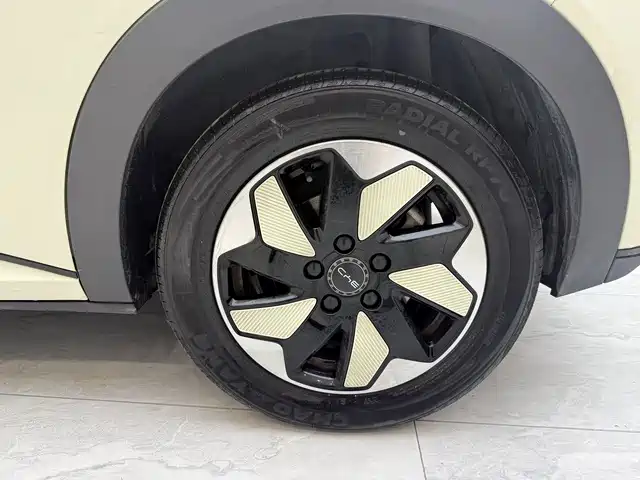 BYD Dolphin 2024 Glory Edition 420km Fashion Edition фото 15