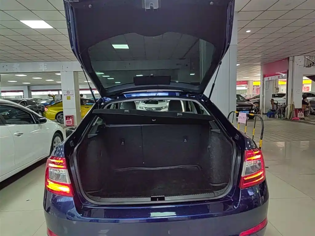 Škoda Octavia 2015 1.6L Automatic逸杰版 фото 19