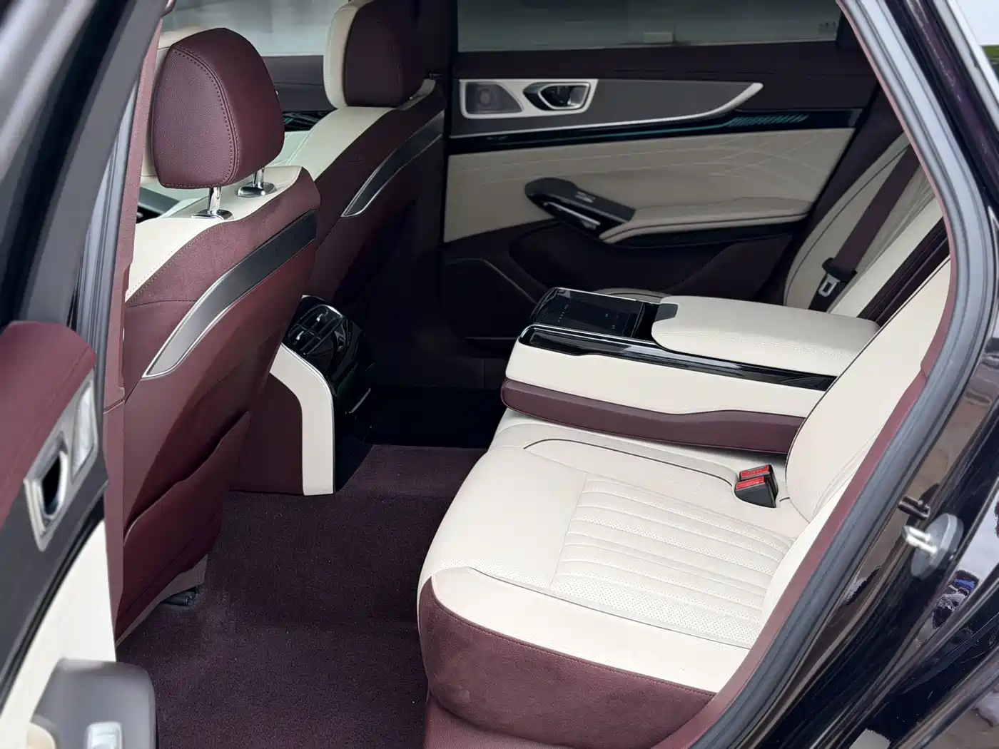 Hongqi H9 2025 2024 2.0T Qi Enjoy Private Fashion Edition