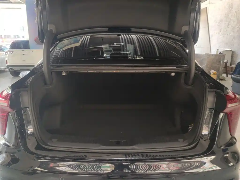 Hongqi H5 2024 2.0T Automatic Smart Connect Flag Smooth Edition фото 19