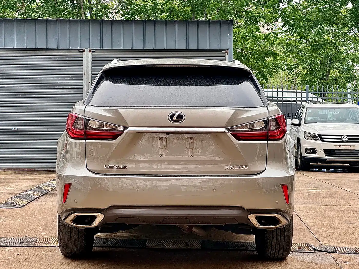 LEXUS RX