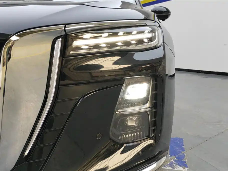 Hongqi H5 2024 2.0T Automatic Smart Connect Flag Enjoy Edition фото 5