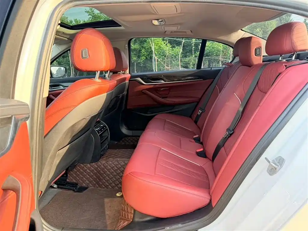 BMW 5 Series 2021 525Li Luxury Package фото 6