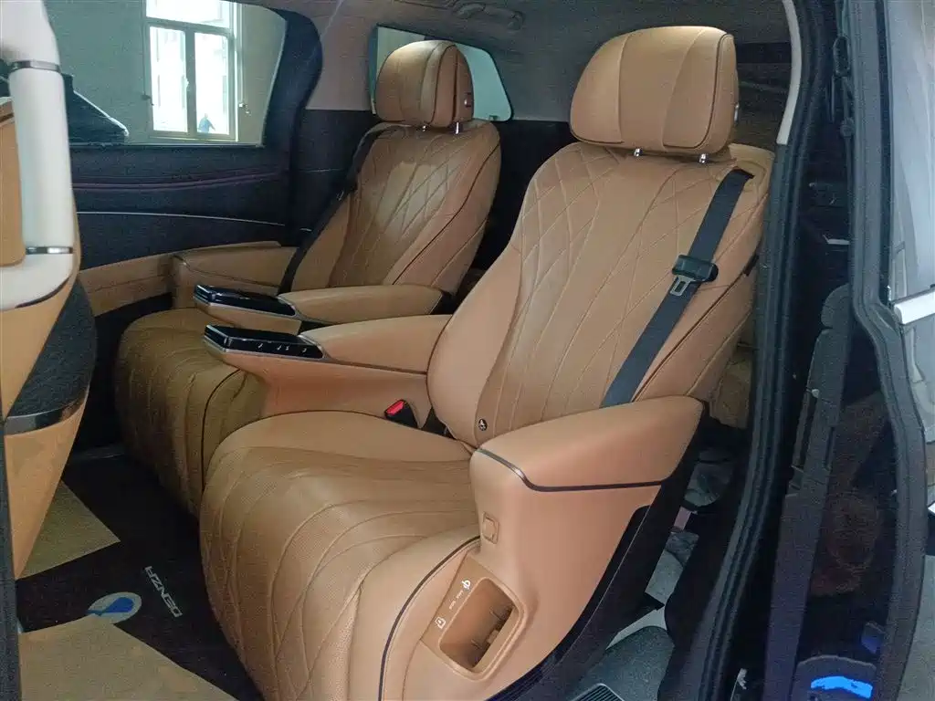 Denza D9 2024 DM-i 980 AWD Prestige фото 13