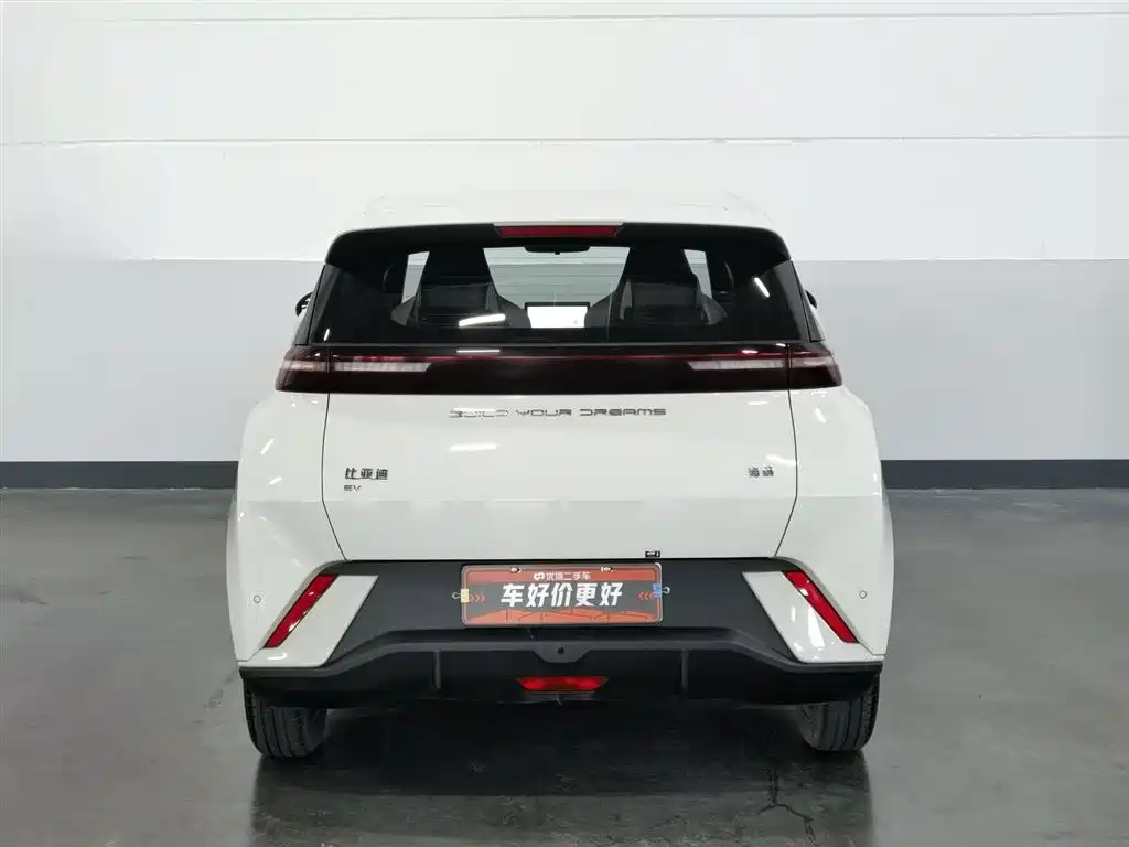 BYD Seagull 2024 Glory Edition 305km Vitality Edition фото 4