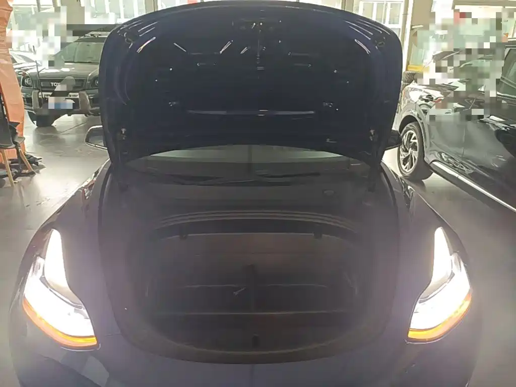 Tesla Model 3 2020 2020 Standard Range Rear-Wheel Drive Upgrade