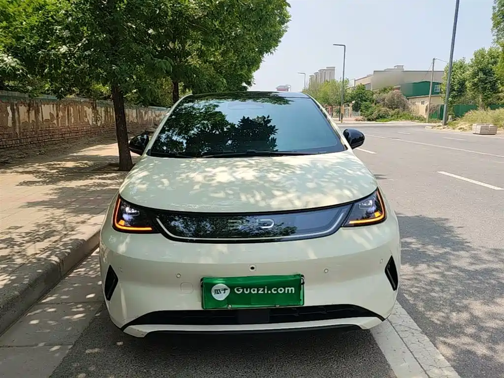 BYD Dolphin 2025 Smart Drive Edition 410km Fashion Version фото 3