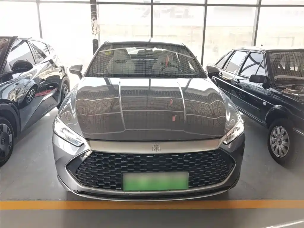 BYD Qin PLUS 2024 Glory Edition DM-i 55KM Leading фото 3