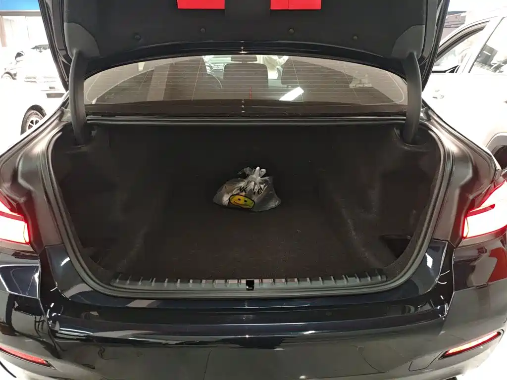 BMW 5 Series 2022 Facelift 530Li Leading M Sport Package фото 15