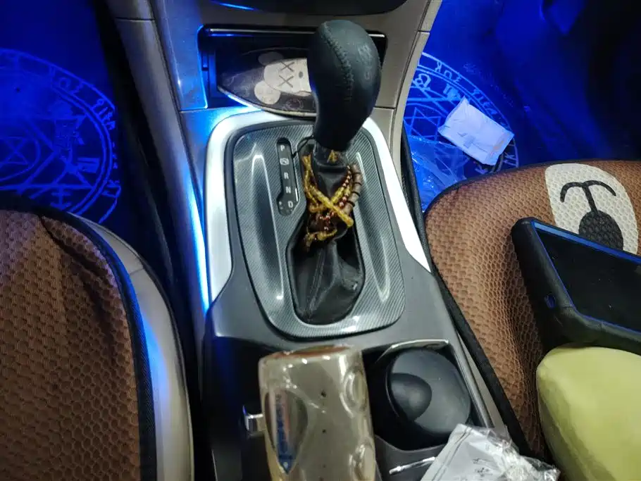 Buick Regal 2014 2.0L Leading Fashion Type фото 16