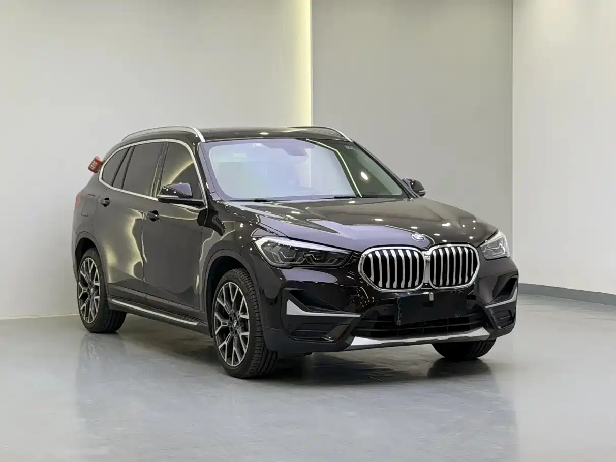 BMW X1 2020 xDrive25Li Premium Edition фото 3