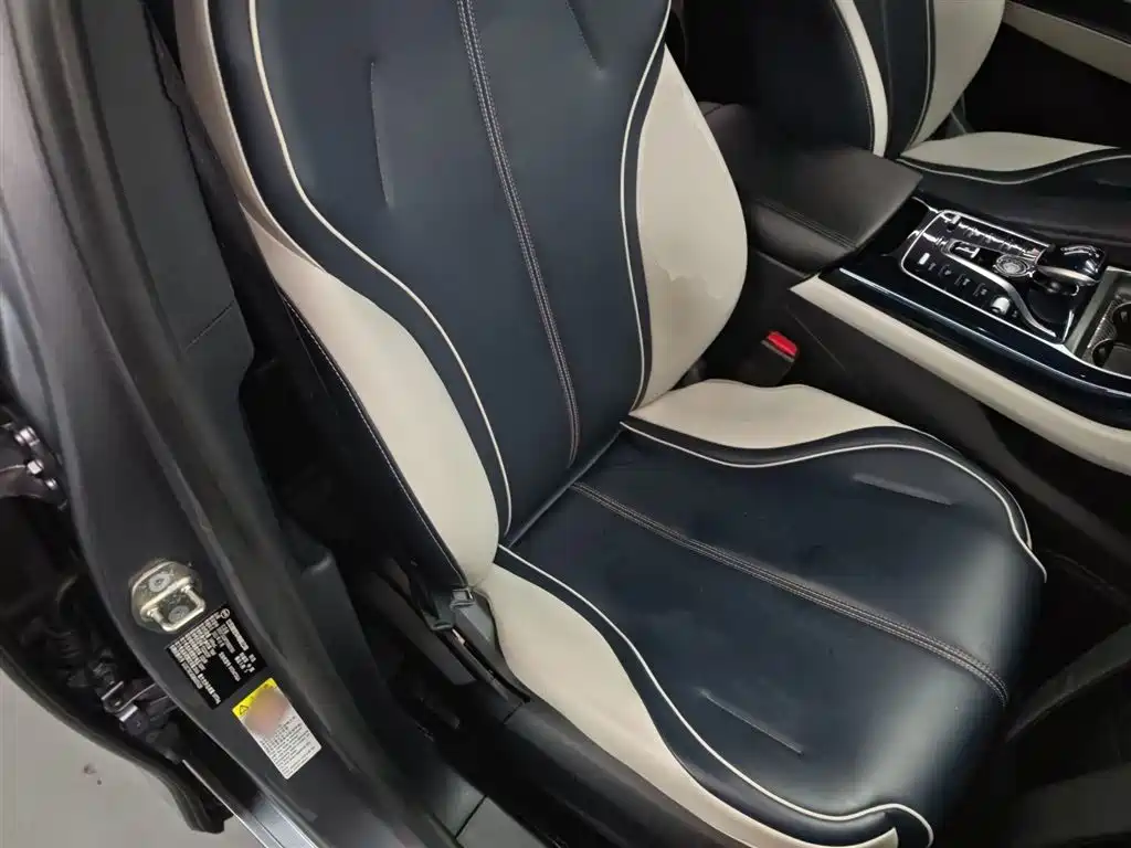 BYD Qin PLUS 2021 DM-i 55KM Flagship фото 20