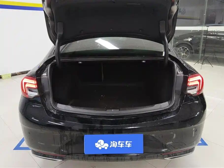 Buick Regal 2020 552T Elite фото 4