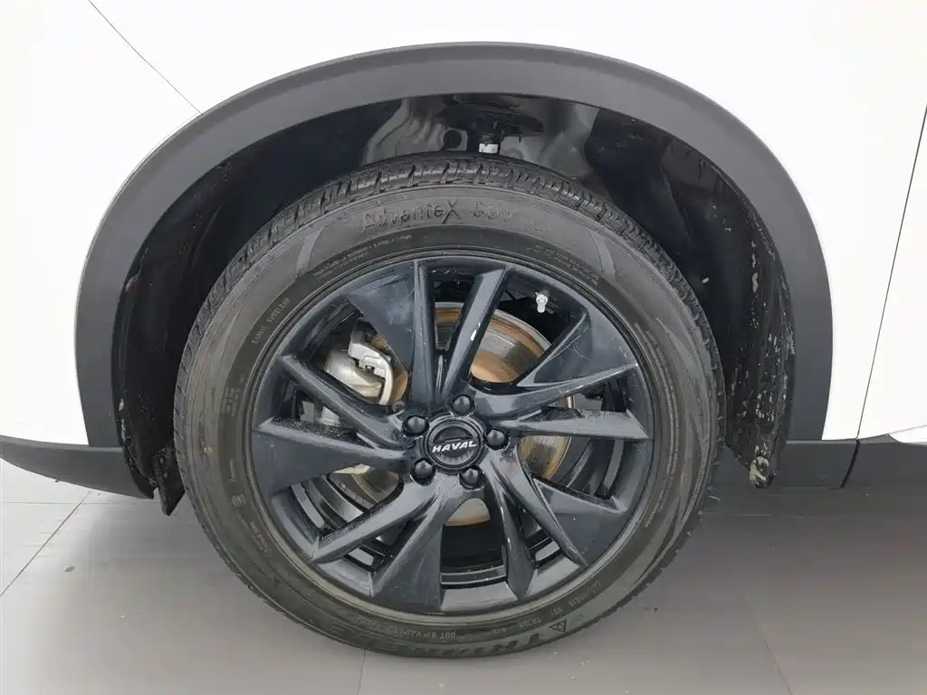 Haval H6 2021 3rd Generation 2.0T Auto AWD Max фото 17