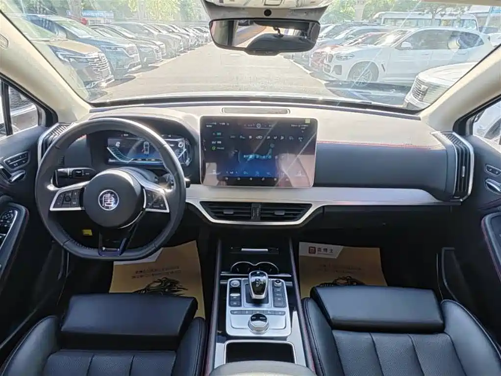 BYD Tang New Energy 2019 EV600D 4WD Smart Connect Genesis Edition фото 7