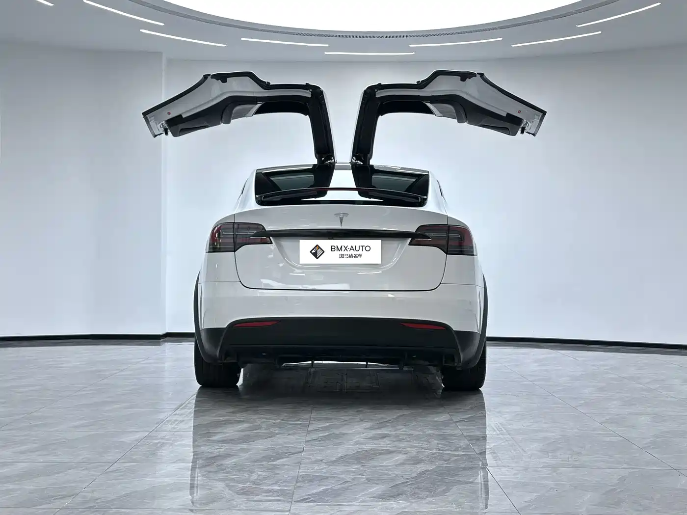 Tesla Model X 2017 2016 Model X P100D Performance