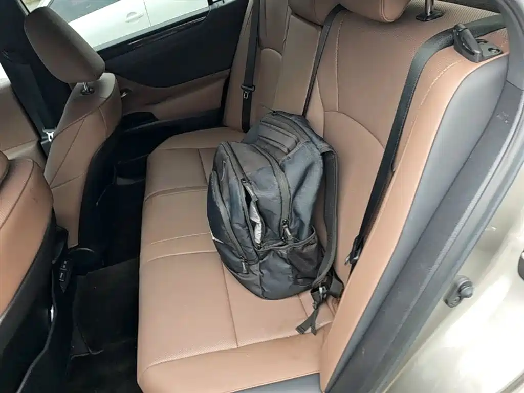Lexus ES 2022 300h Ultimate Edition фото 24