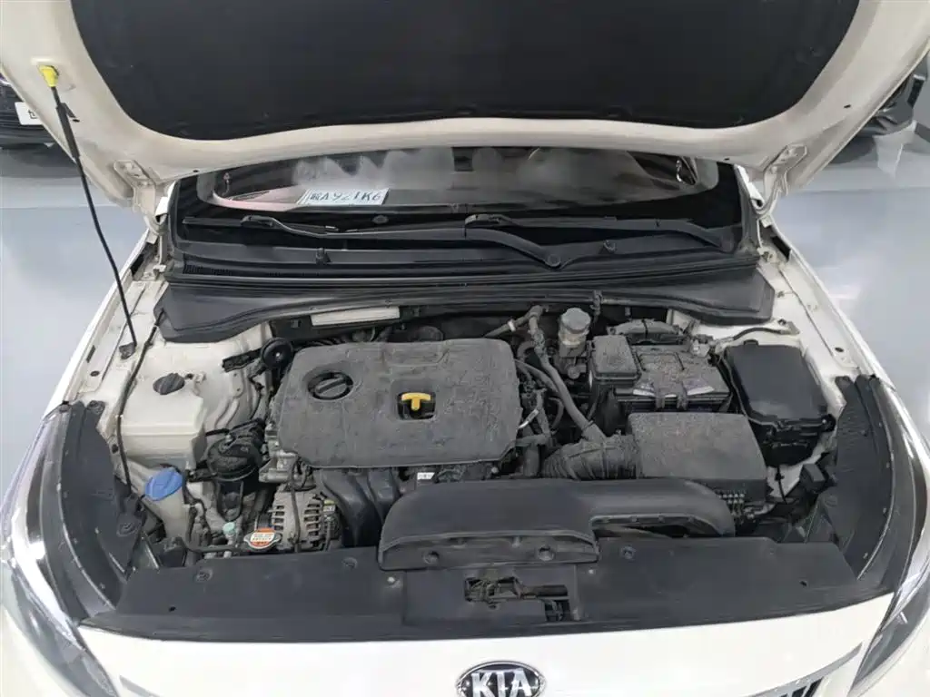 Kia Kaishen 2017 1.8L Automatic GLS фото 19