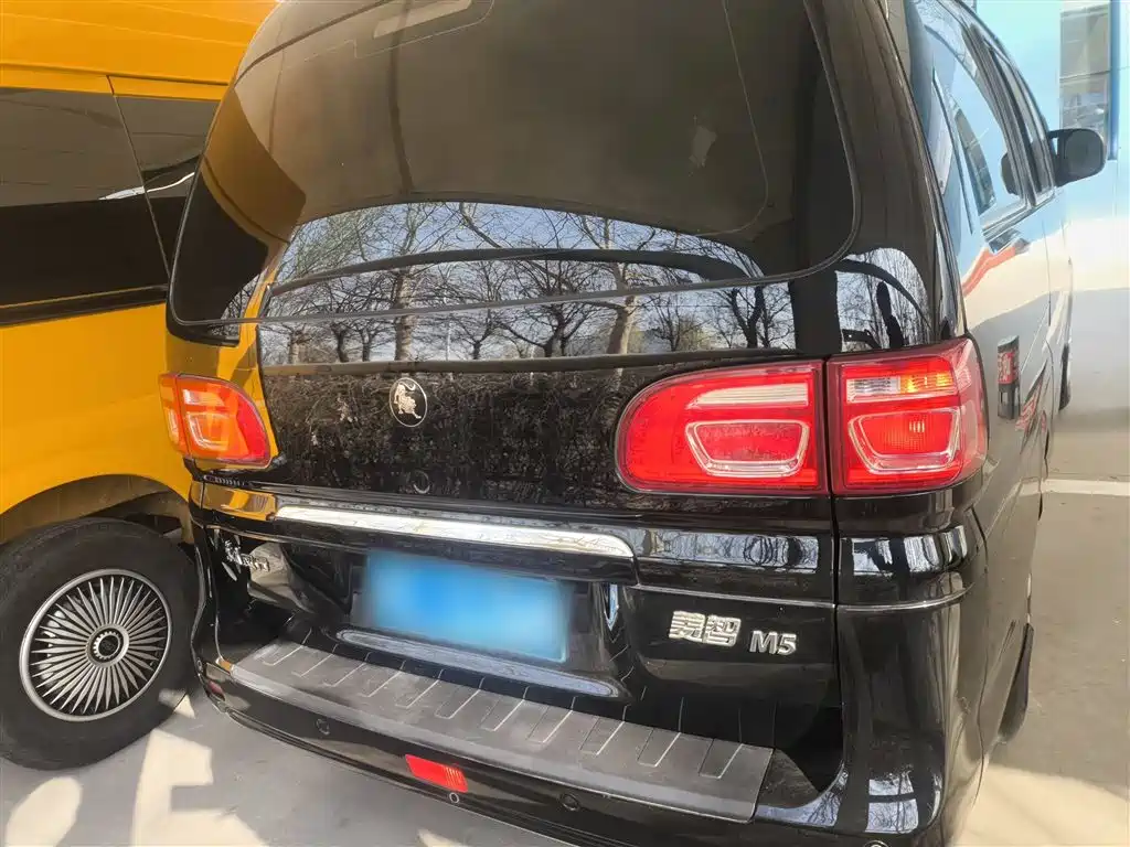 DONGFENG POPULAR LINGZHI