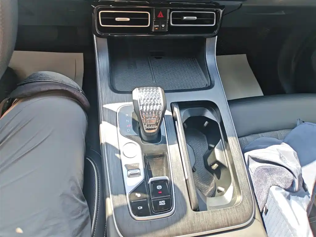 GAC Trumpchi Trumpchi GS8 2022 Pilot Series 2.0TGDI 2WD Premium Edition (7-Seater) фото 14