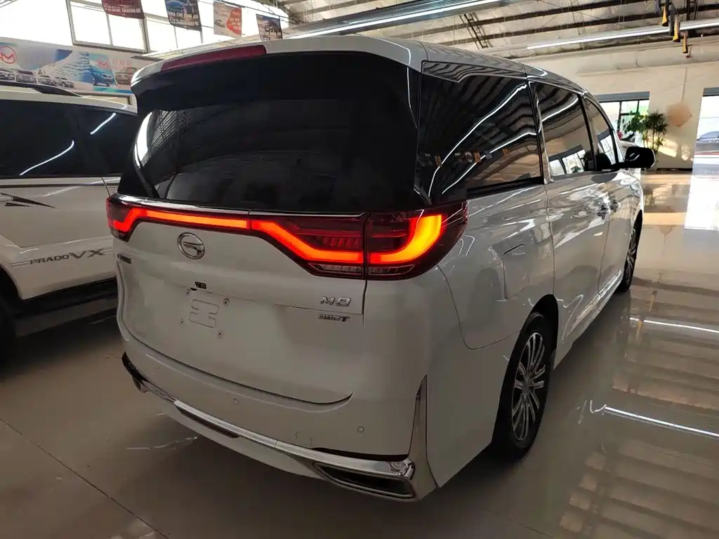 GAC Trumpchi Trumpchi M8 2023 Leading Series 390T Prestige Edition фото 7