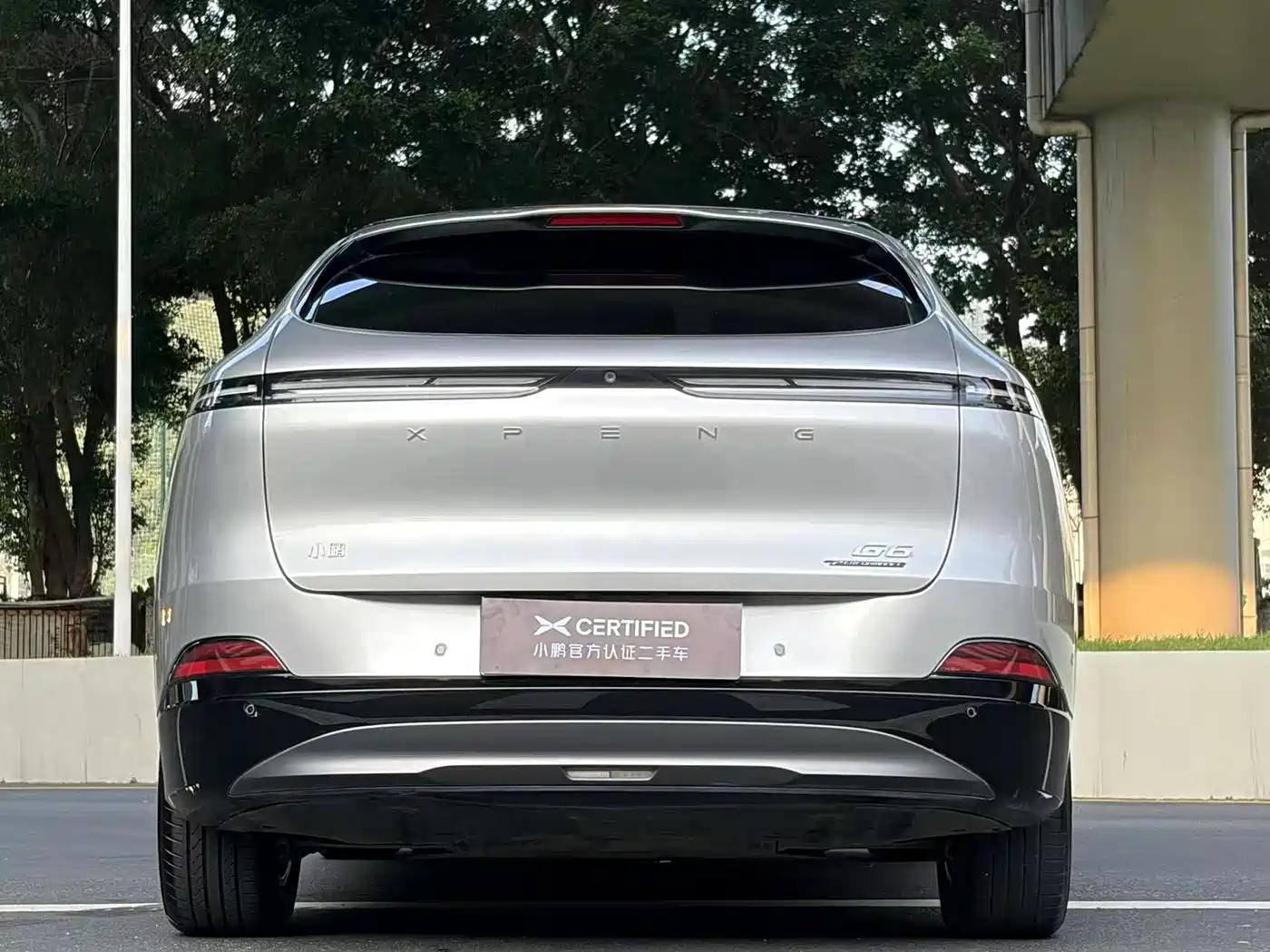XPeng G6 2023 700 AWD Performance Max фото 8