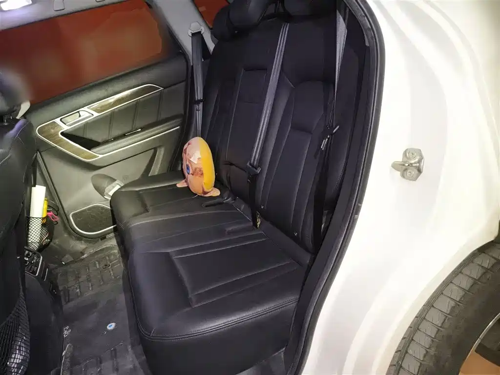 Haval H6 Coupe 2016 Blue Label 1.5T Automatic 2WD Urban фото 15