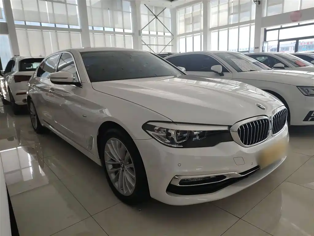 BMW 5 Series 2018 530Li Leading Luxury Package фото 4