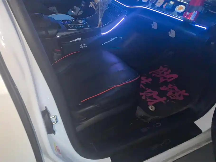 BYD Destroyer 05 2024 Glory Edition DM-i 55KM Luxury фото 8