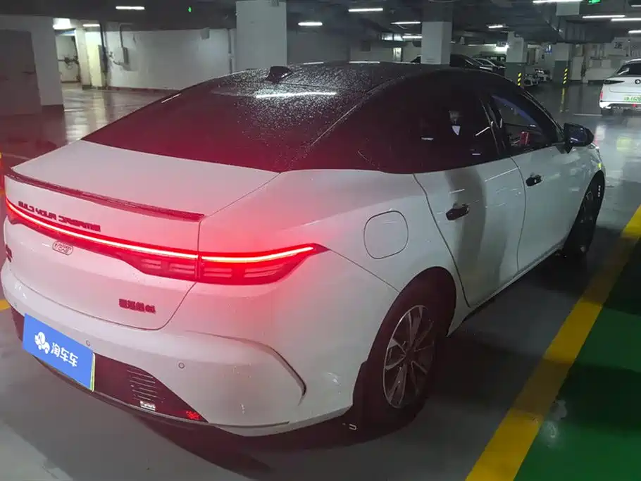 BYD Destroyer 05 2024 Glory Edition DM-i 55KM Luxury фото 3