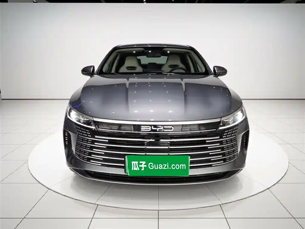 BYD Destroyer 05 2023 Champion Edition DM-i 55KM Luxury фото 3