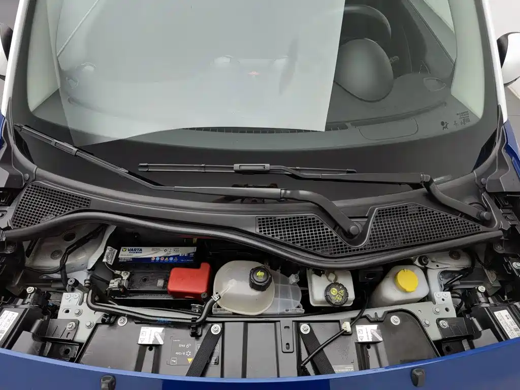 smart forfour 2019 2018 1.0L 52kW Passion Edition