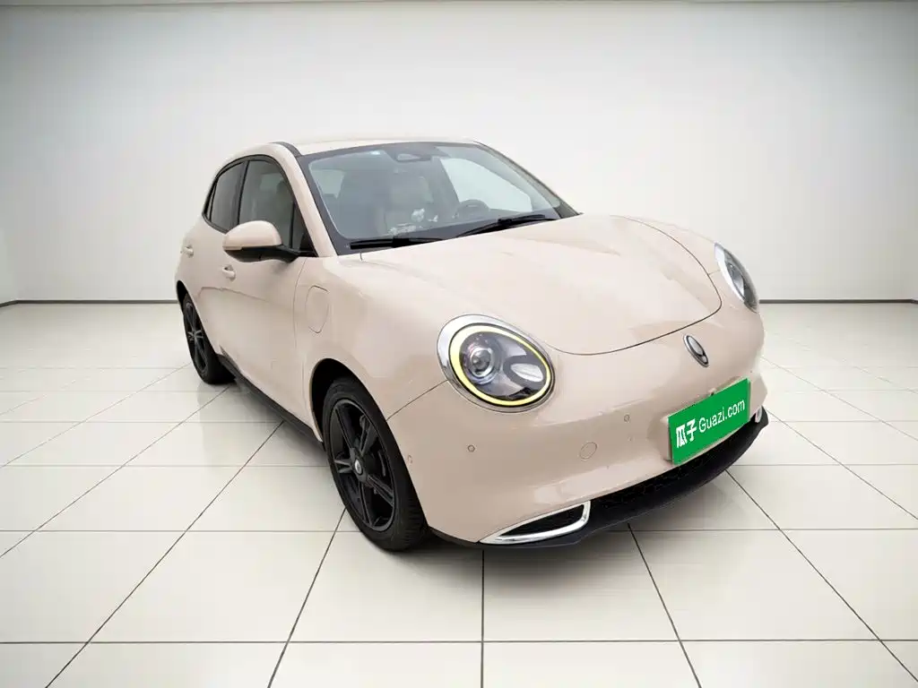 Ora Good Cat 2024 2024 401km Honor 135kW