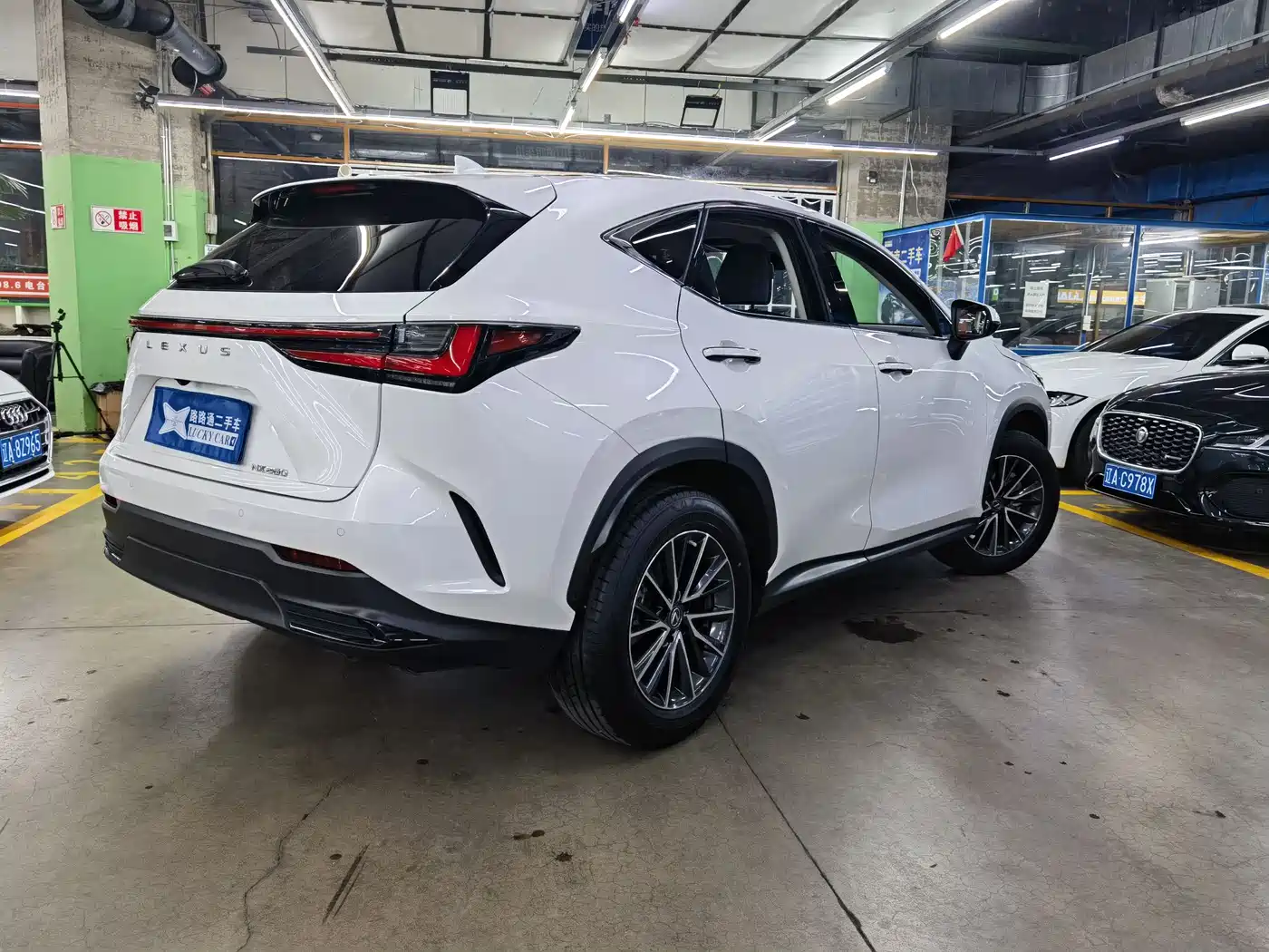 LEXUS NX