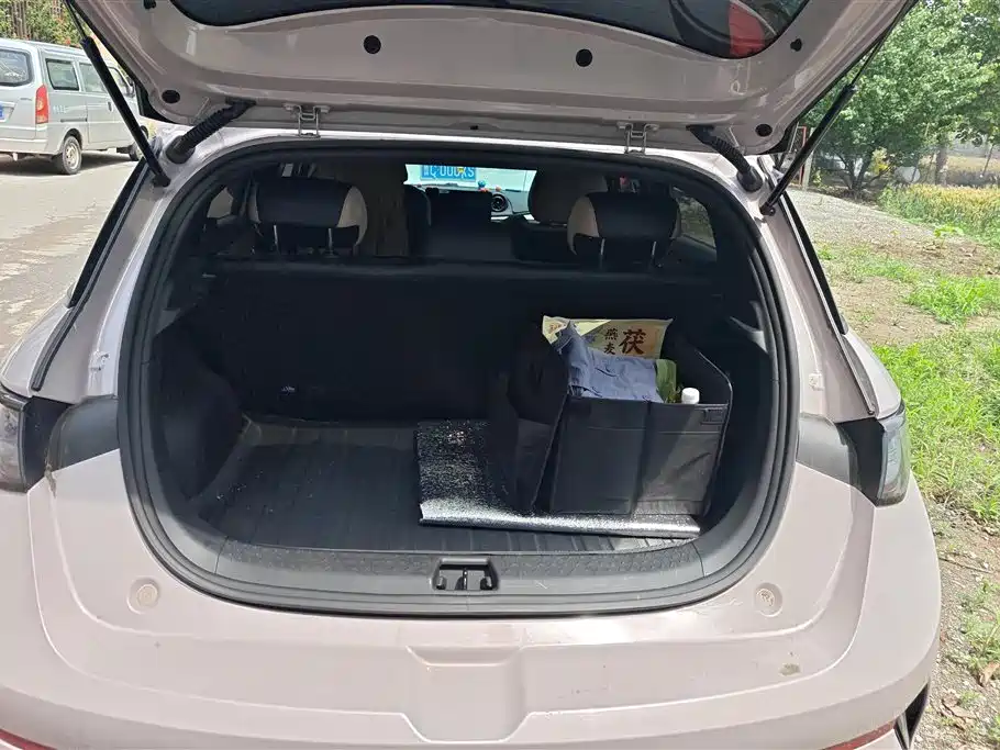 BYD Dolphin 2025 Smart Drive Edition 420km Freedom Version фото 4