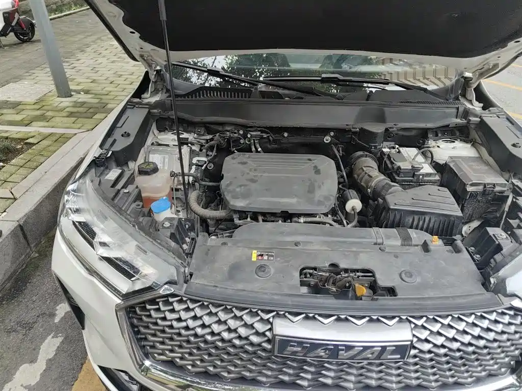 Haval H6 2022 3rd Gen 1.5T Auto 2WD Max фото 21