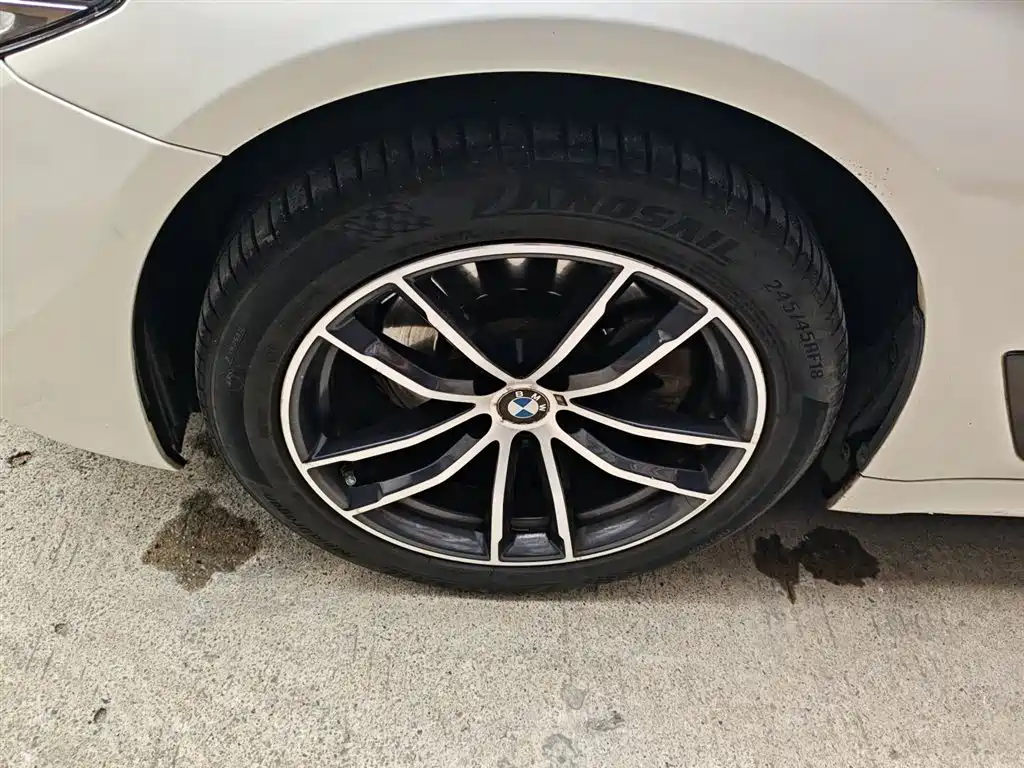 BMW 5 Series 2019 525Li M Sport Package фото 25
