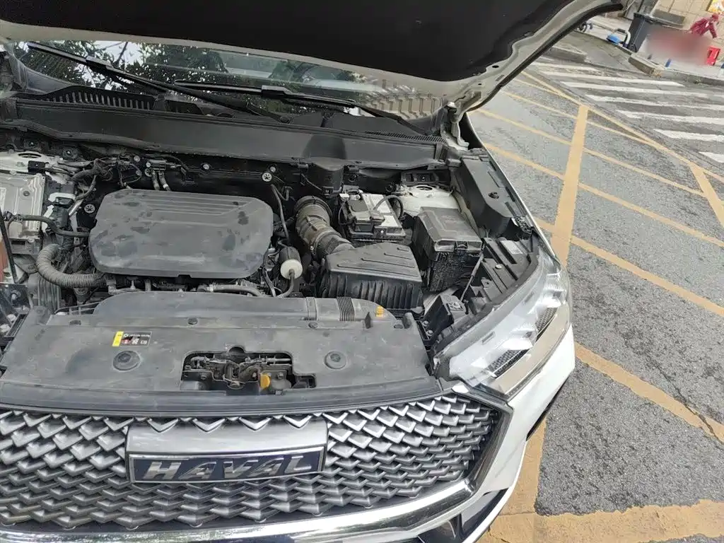 Haval H6 2022 3rd Gen 1.5T Auto 2WD Max фото 22