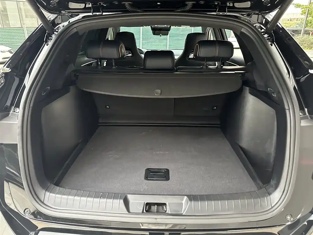 BYD SONGJIANG NEW ENERGY