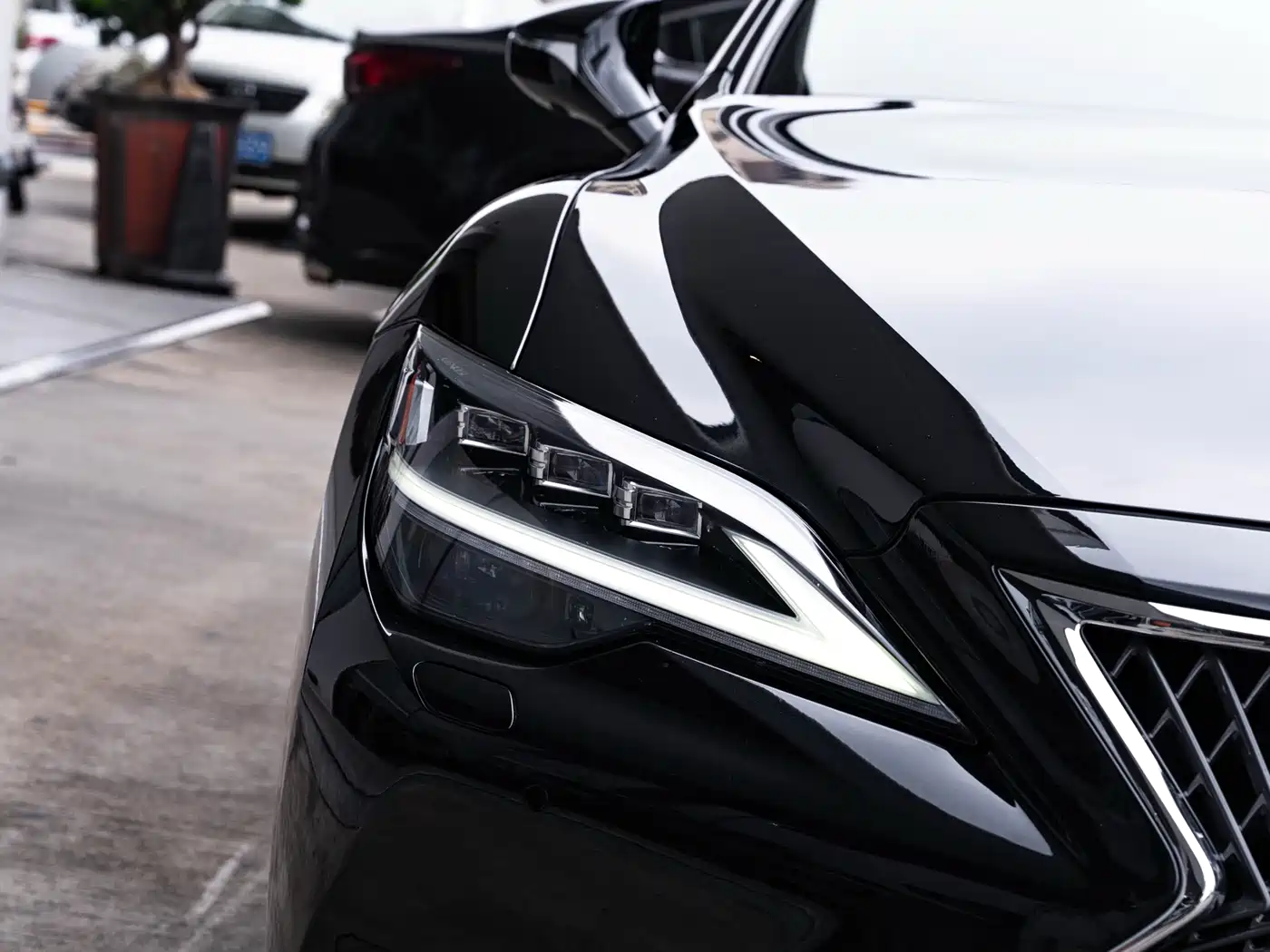 Lexus LS 2021 500h Executive Edition фото 6
